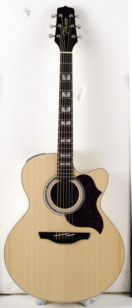 GIT276_cuts_takamine.jpg